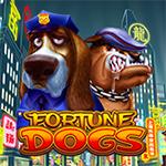 Fortune Dogs